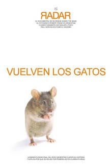 Los Gatos, año 2007